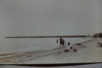 Beach and NSSD pier